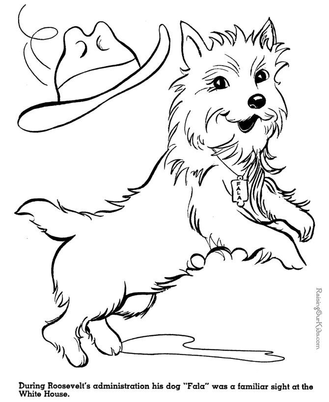 Franklin Roosevelt's Dog - American history picture for kid