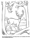 Daniel Boone picture history