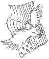 Patriotic American eagle
