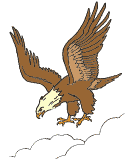 The Bald Eagle