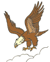 Bald eagle coloring pages and drawings